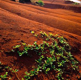 《ENENRA: DΔEMON CORE》Steam页面上线 赛朋砍杀动作